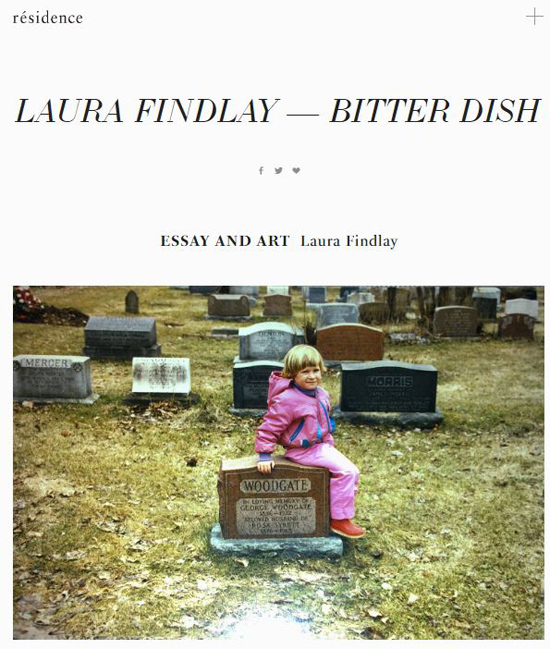 Bitter Dish - Essay written for Residence Editions